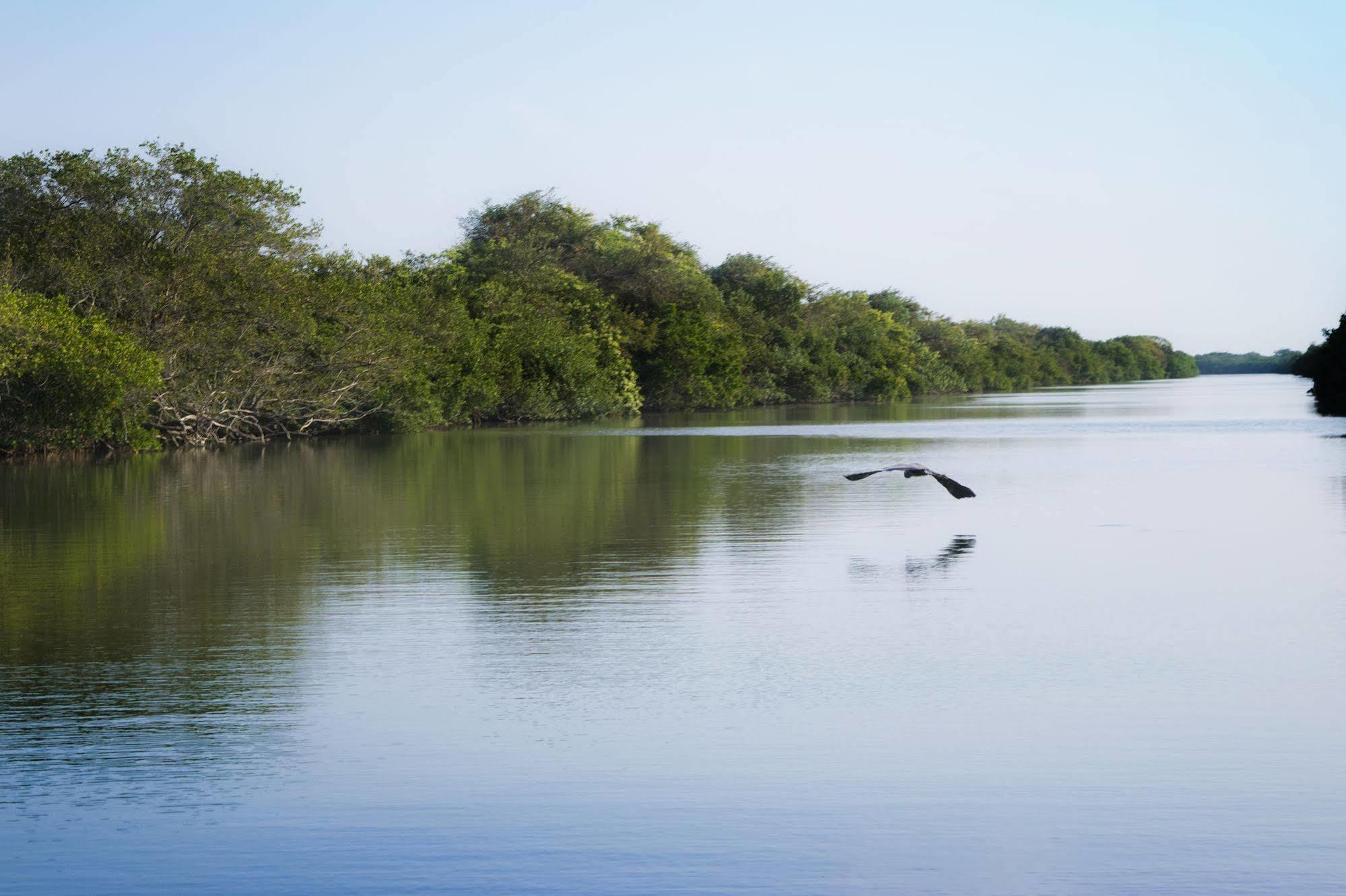 Isla Tajín Tuxpan (Veracruz) Exterior foto